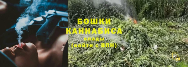 СК Арсеньев