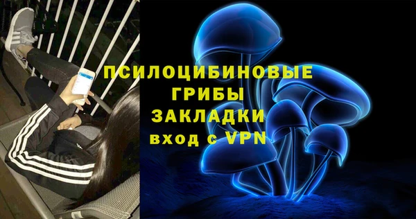 мет Аркадак