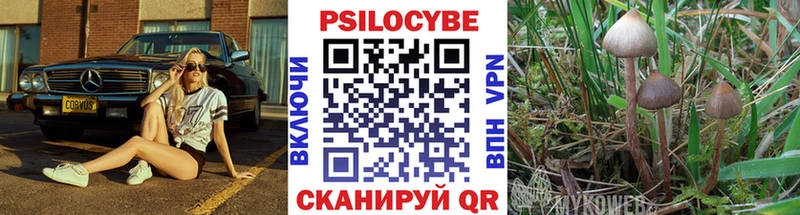 купить закладку  Ужур  нарко площадка наркотические препараты  Галлюциногенные грибы мухоморы 